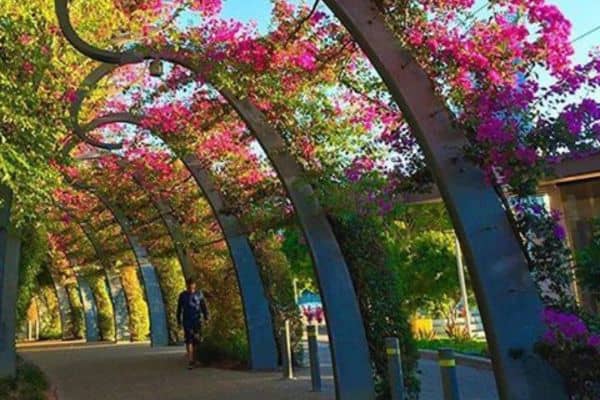 Brisbane